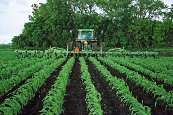 Soil and&nbsp;sustainability