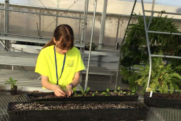 Feed the World alum Mary Ann&nbsp;Hopple