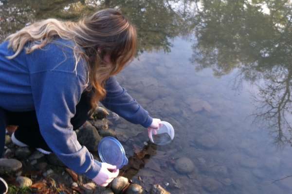 Monitoring water quality close&nbsp;by