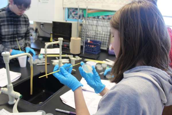 Plant genetics studied with mini-grant&nbsp;materials